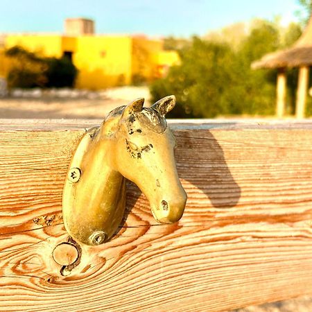 シディ・カウキEco-Ranch Salomeアパートメント エクステリア 写真